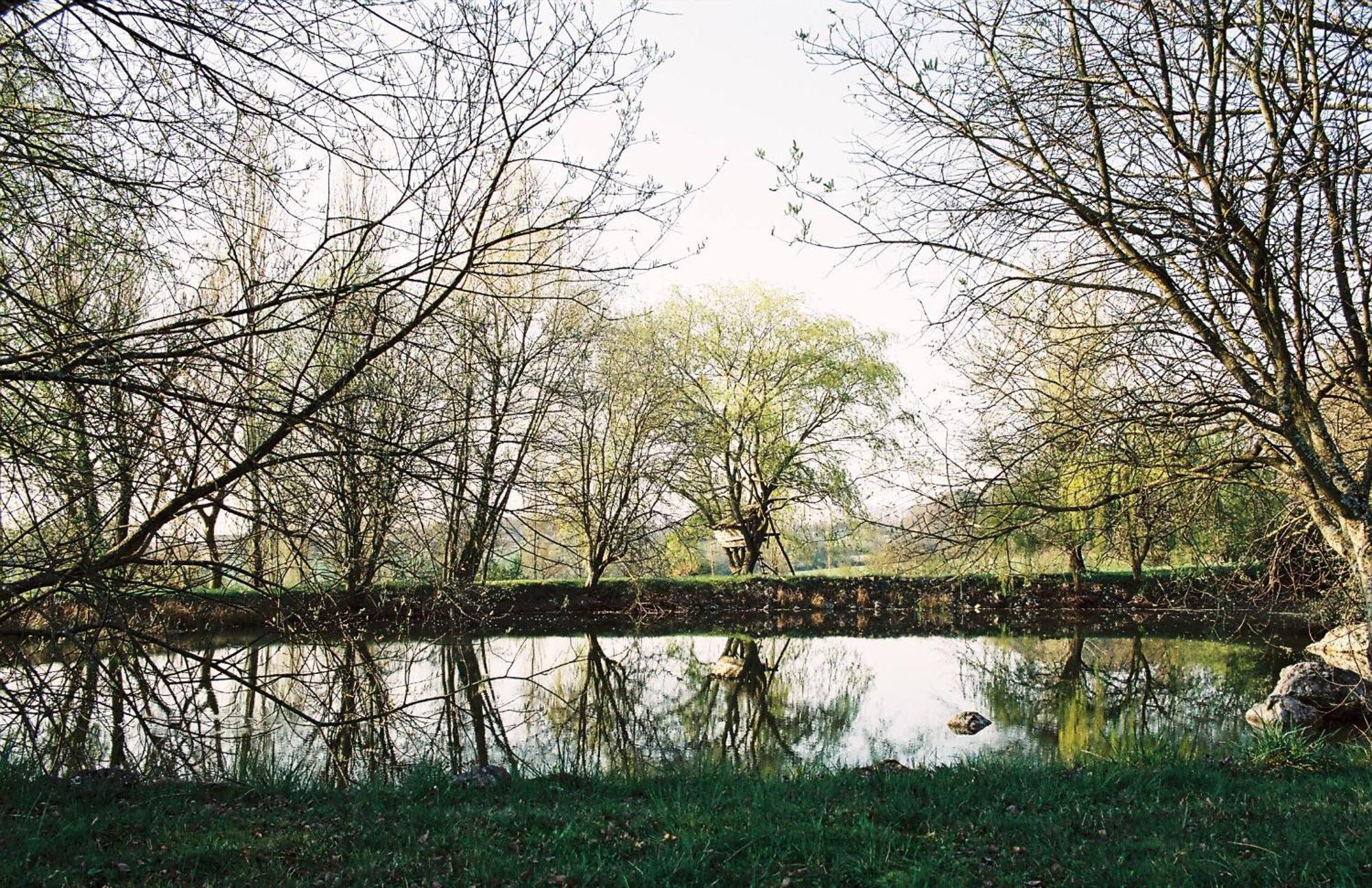 Bossay-sur-Claise Les Bertaulieres Bed & Breakfast エクステリア 写真
